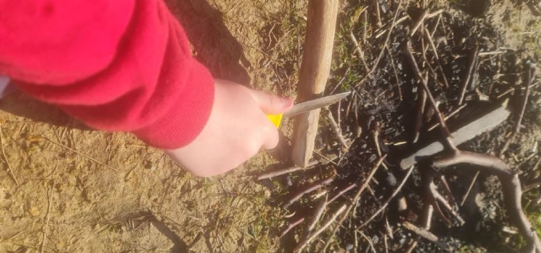 Whittling
